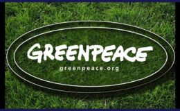 Greenpeace’den Çanakkale için imza kampanyası