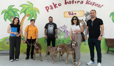 Belediyenin can dostları eski arkadaşlarına kavuştu
