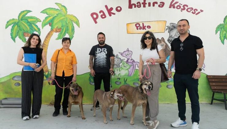 Belediyenin can dostları eski arkadaşlarına kavuştu