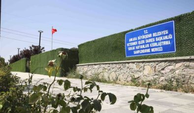Ankara Anakent Belediyesinden kedilere özel sağlık alanı