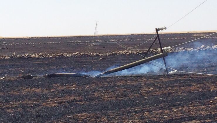 Anız yangınları tarımsal üretim ile enerji arzını tehdit ediyor