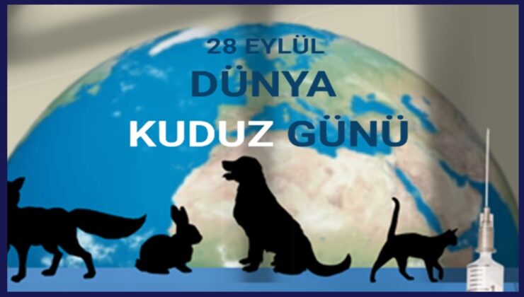 Veteriner hekimlerden “Tek Sağlık” yasası çağrısı