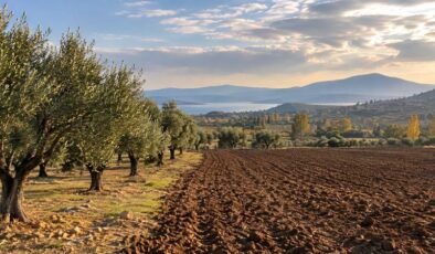 İzmir ve Ankara’da tarımsal hava planlaması