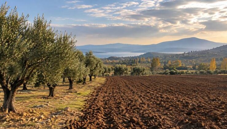 İzmir ve Ankara’da tarımsal hava planlaması