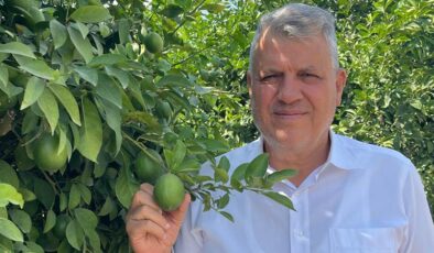 “Limon dalda kaldı…”