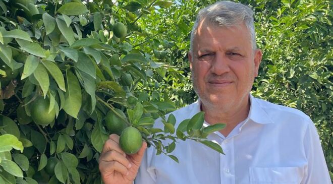 “Limon dalda kaldı…”