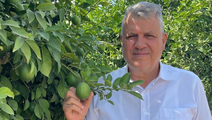 “Limon dalda kaldı…”