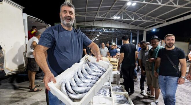 İzmir balık halinde ilk ay: İşlem hacmi 9 bin tonu aştı