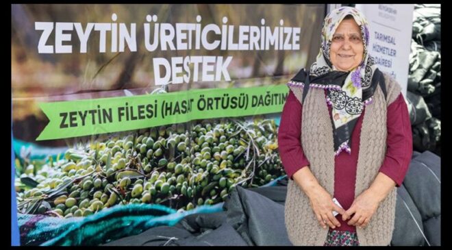 İzmir’de zeytin üreticisine alandan destek…