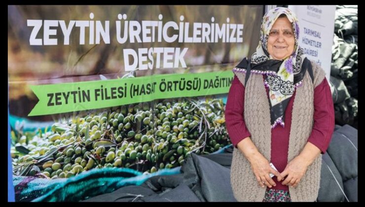 İzmir’de zeytin üreticisine alandan destek…