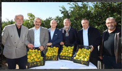 Satsuma mandalinasında dışsatım yolculuğu başladı