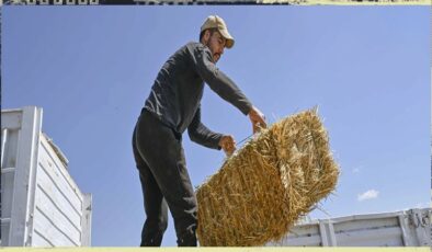 Ankara Anakent Belediyesinden üreticiye yem desteği
